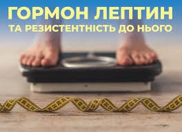 як називається гормон насичення