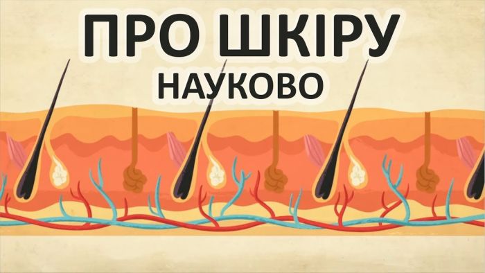 як називається наука про шкіру