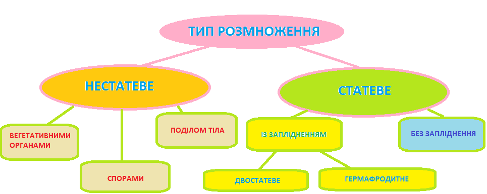 які є способи розмноження