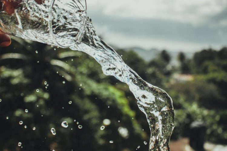 якщо підлили мертву воду