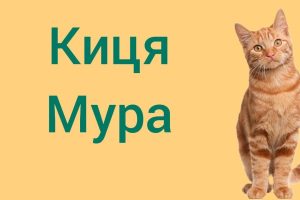 Киця Мура, де ти була: чарівний віршик, що зігріває серця поколінь