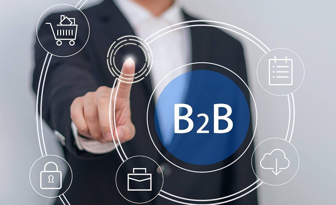 B2B Баядера: портал для бізнесу та оптових замовлень
