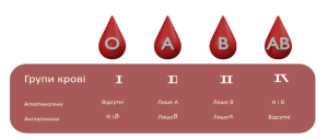 Таблиця груп крові: сумісність, успадкування і винятки