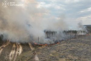 Харківщина у вогні: гасять сім лісових пожеж на 153 гектарах