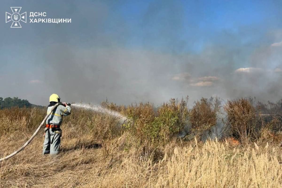 На Харківщині за добу загасили 13 пожеж у природних екосистемах